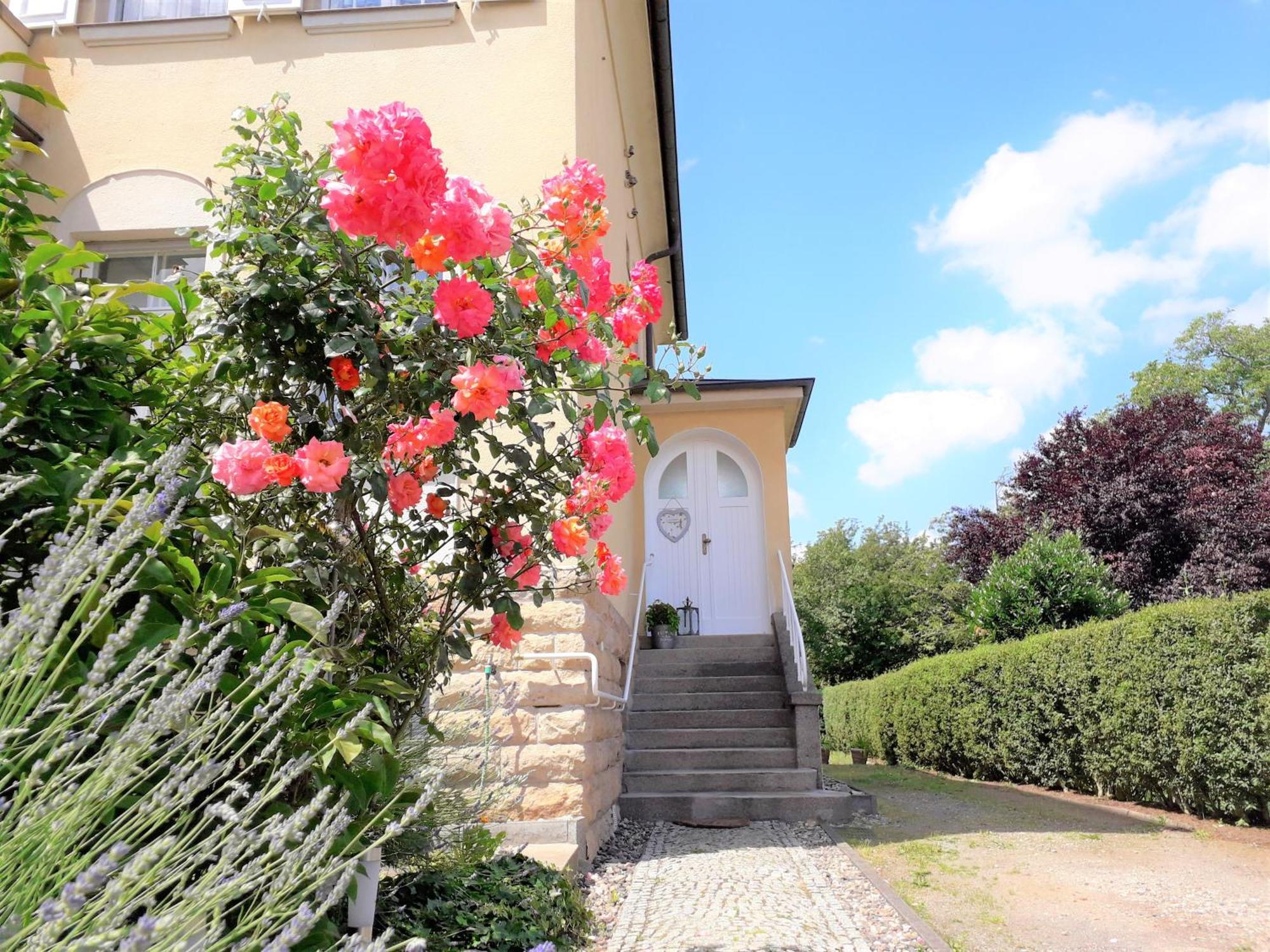 Freia - Exklusive Zum Erholen & Entspannen Appartement Dresde