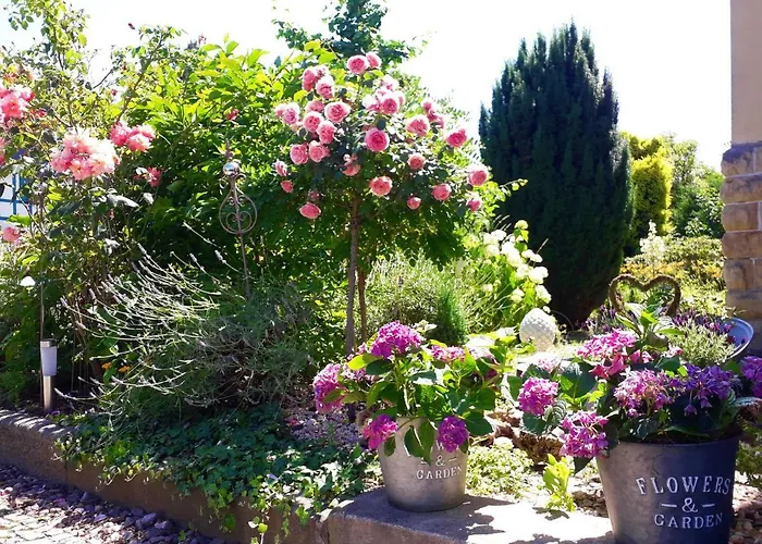 Villa Freya